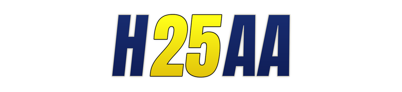 h25aa